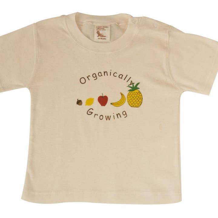 Organic Baby Tee 1-2 year - Fruits for wholesale by Healthy Body Head To Toe