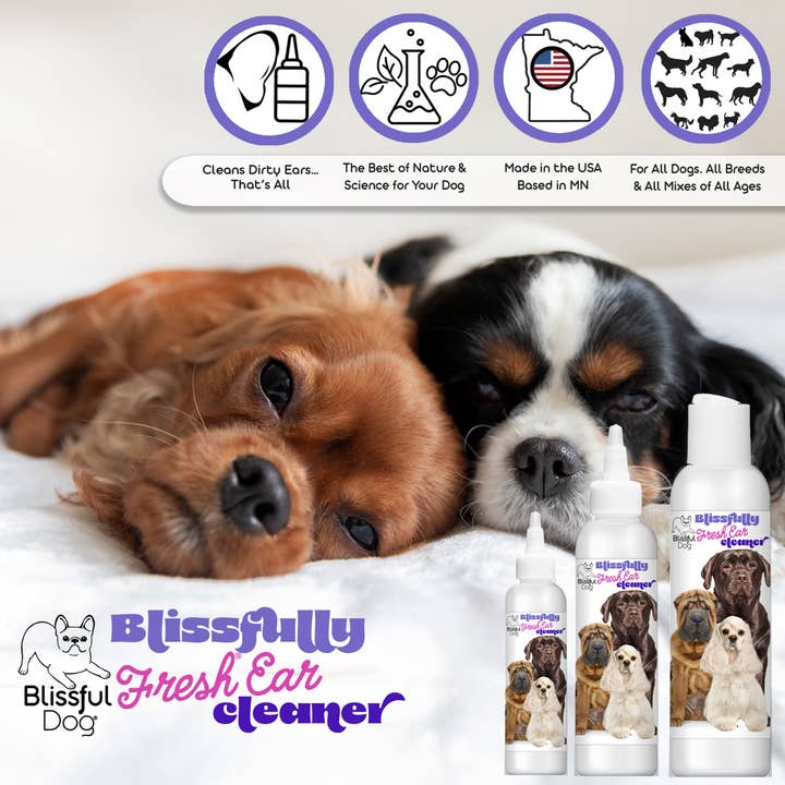The Blissful Dog - Wholesale Pet Cleaning Supplies - Blissfully Fresh Dog Ear Cleaner Gallon