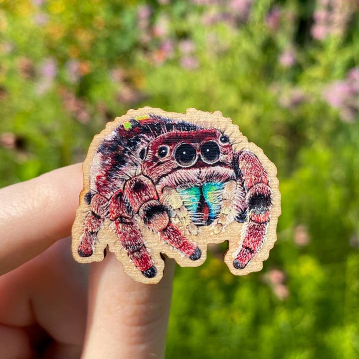 Allison Stoiser Art – wholesale Nål och knapp för kavajslag – Hoppande spindel träpin (hållbart anskaffad)