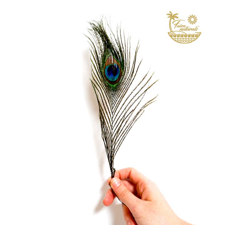 Faiza Naturals - Wholesale Sage Bundle - Peacock Feathers for Smudging