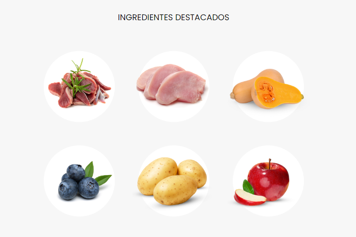 DIBAQ - Wholesale Pet Food - Dog - Sense Dog Duck & Turkey Tin 380G1