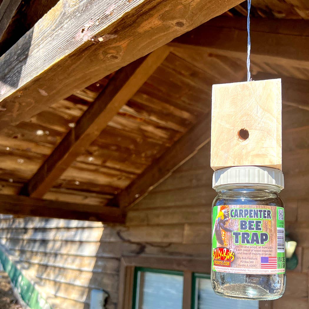 Billy Bob Products - Wholesale Retailer Display - Home & Living - Billy Bob Carpenter Bee Trap MADE IN THE USA!  1