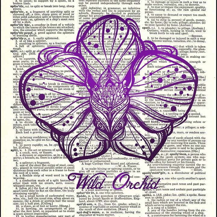 Wild Orchid Dictionary Print for wholesale by Fresh Prints of CT