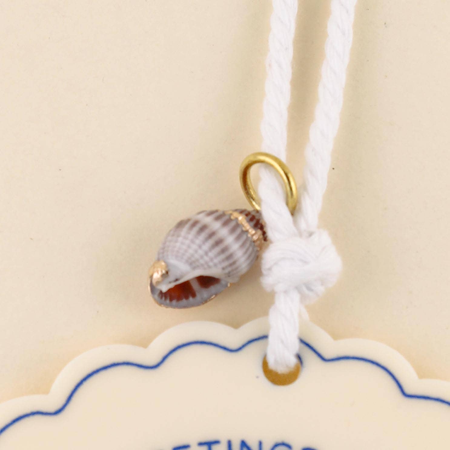 Freshwater Curated Goods – wholesale Ornament – Custom Your City Seashell Charm Ornament5