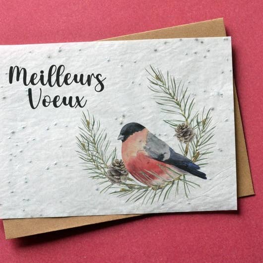 Plantable Card Best Wishes Robin for wholesale by Carte À Pousser