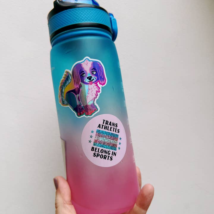 Create & Skate Factory - Wholesale Sticker - Skating Puppy Holographic Sticker2