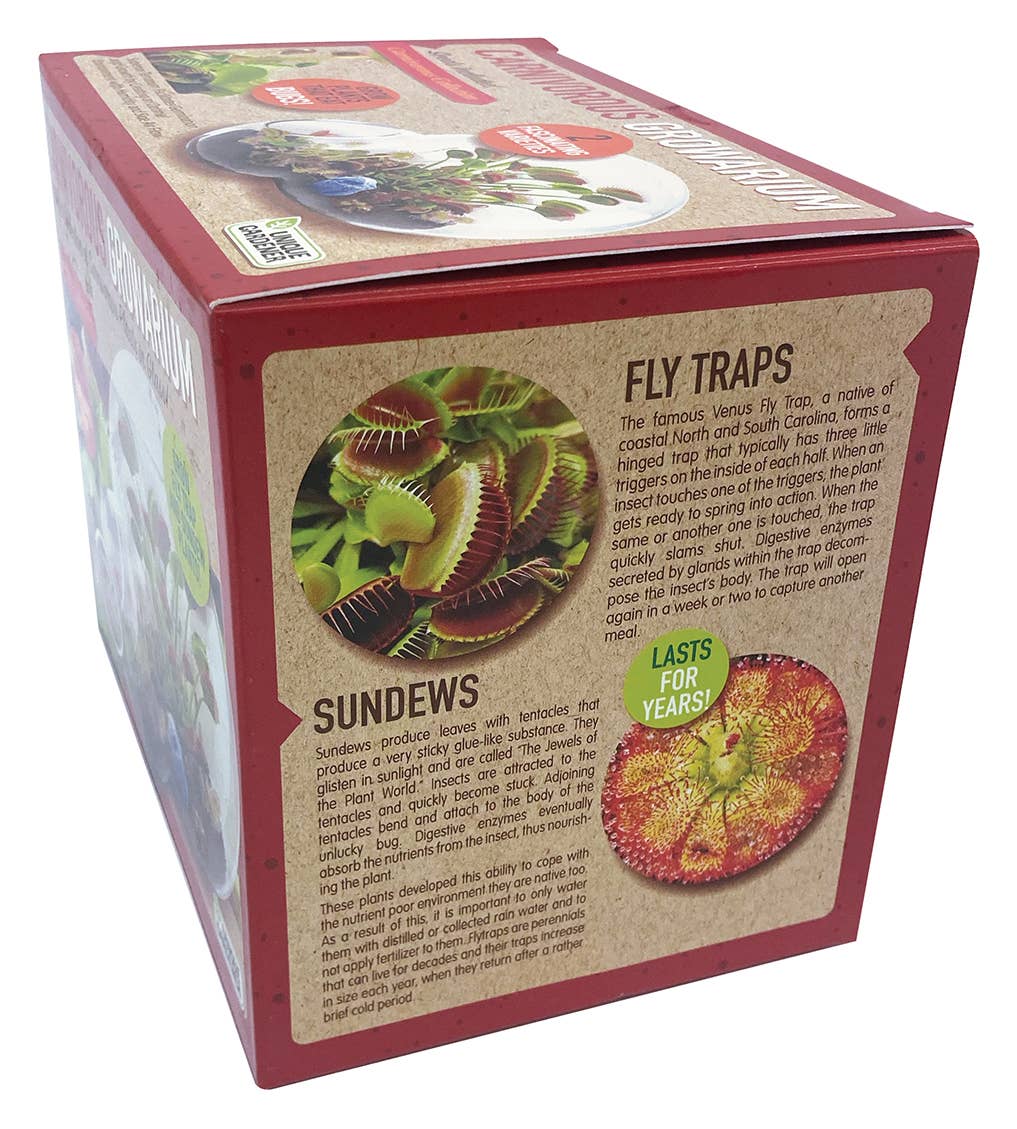 Silver Circle Products - Vente Terrariums - Terrarium en verre Carnivorous Growarium3