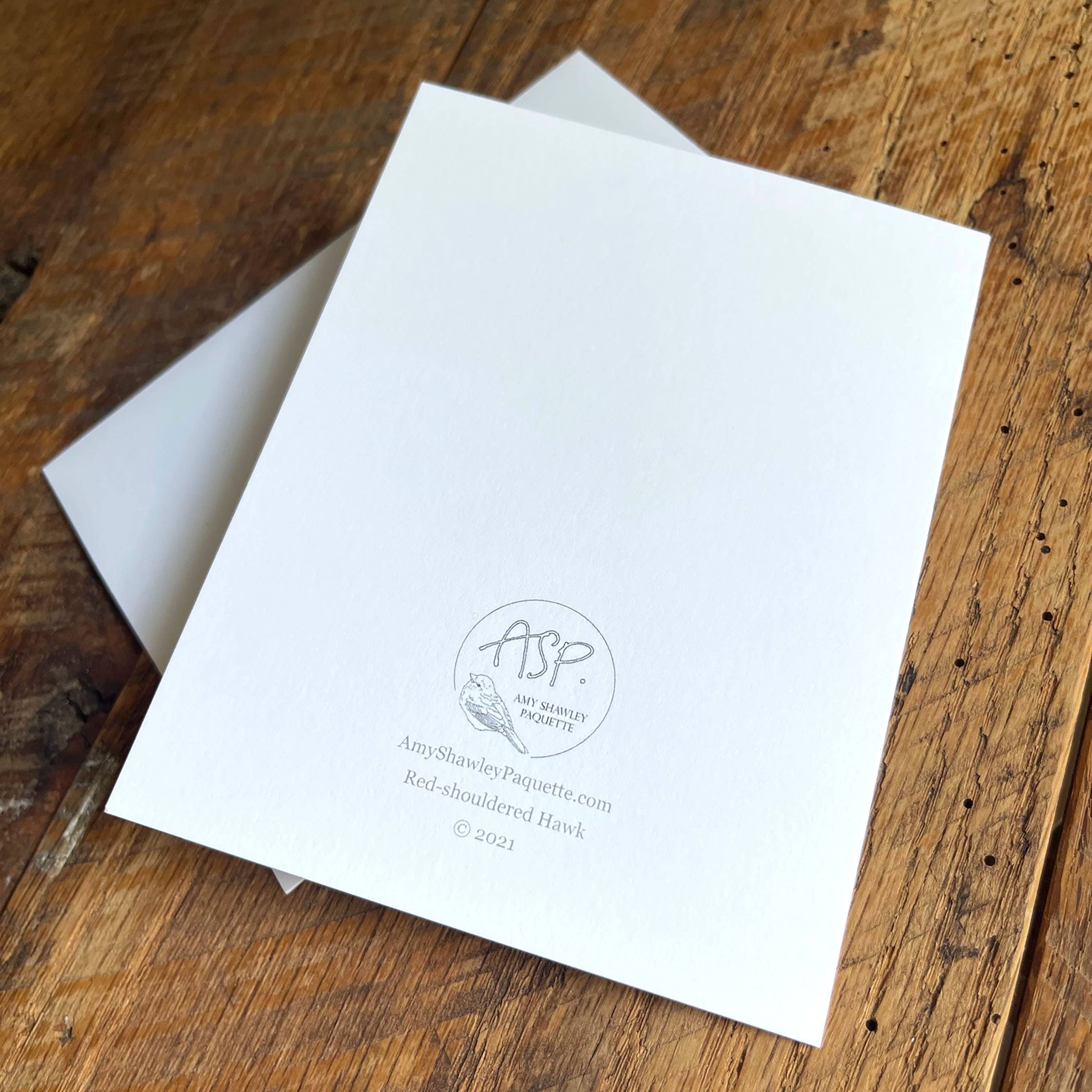 Amy Shawley Paquette - Wholesale Stationery/Notecard Set - Red-shouldered Hawk - Blank Note Card2