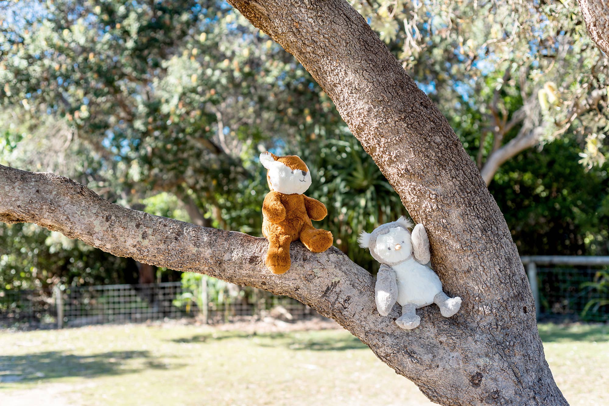 OB Designs - Wholesale Stuffed/Plush Toy - Kids & Baby - Frankie Fox Soft toy 13.5"/34cm6