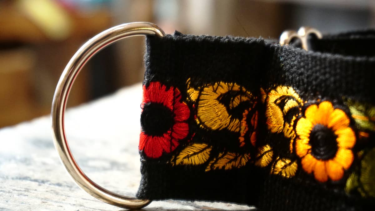 hundsfutter - Wholesale Pet Collar - Dog - Wide collar anti escape design14