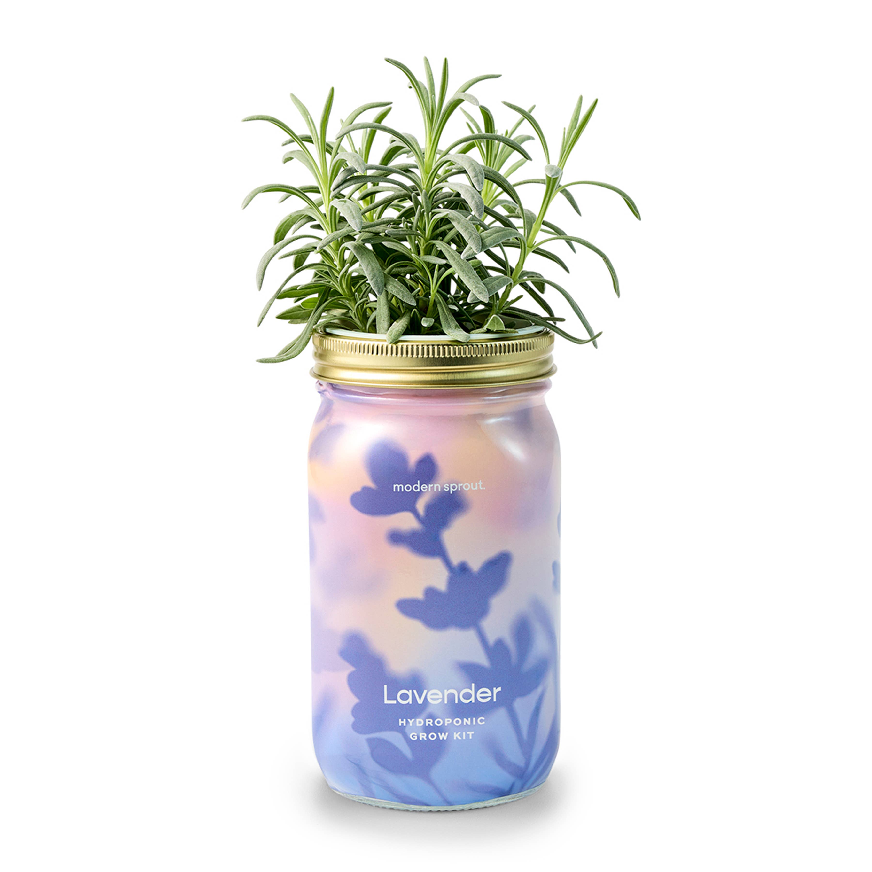 Modern Sprout - Wholesale Plant Pot - Herb Garden Jar11