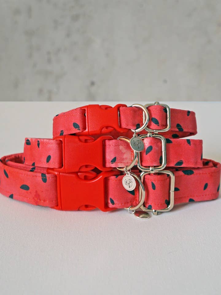Collier pour chien à motifs de pastèques pour la vente par kiwi & WILLOW