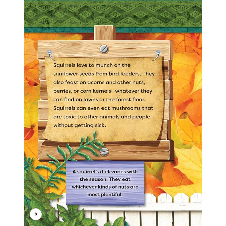 Fox Chapel Publishing - Wholesale Nature & Outdoors - Kids' Backyard Safari: GRAY SQUIRRELS (SC)3