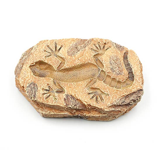 Gecko Fossil Rock for wholesale by Land & Sea