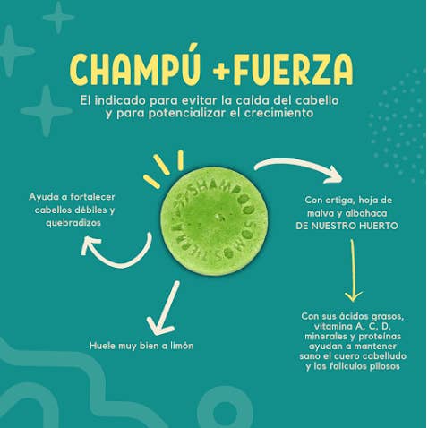 Somos Tierra - Wholesale Shampoo Puck/Solid Shampoo - Shampoo +STRENGTH1