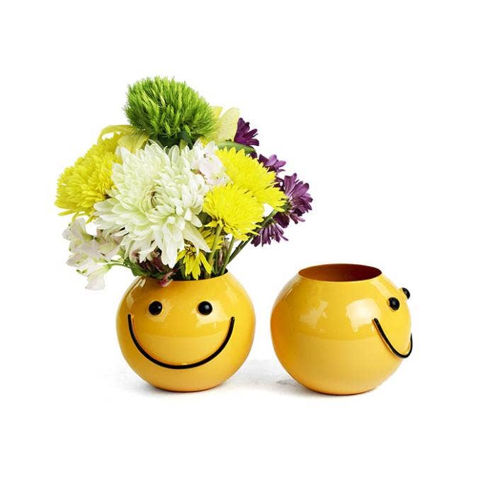 Buhi Imports - Wholesale Vaas - Waterdichte metalen vaas met glimlachend gezicht, 13 cm3
