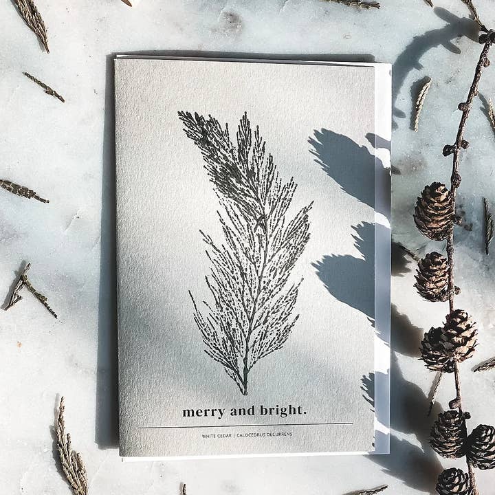 Cartes botaniques Winter Wonderland pour la vente par Xixi Floral Botanical