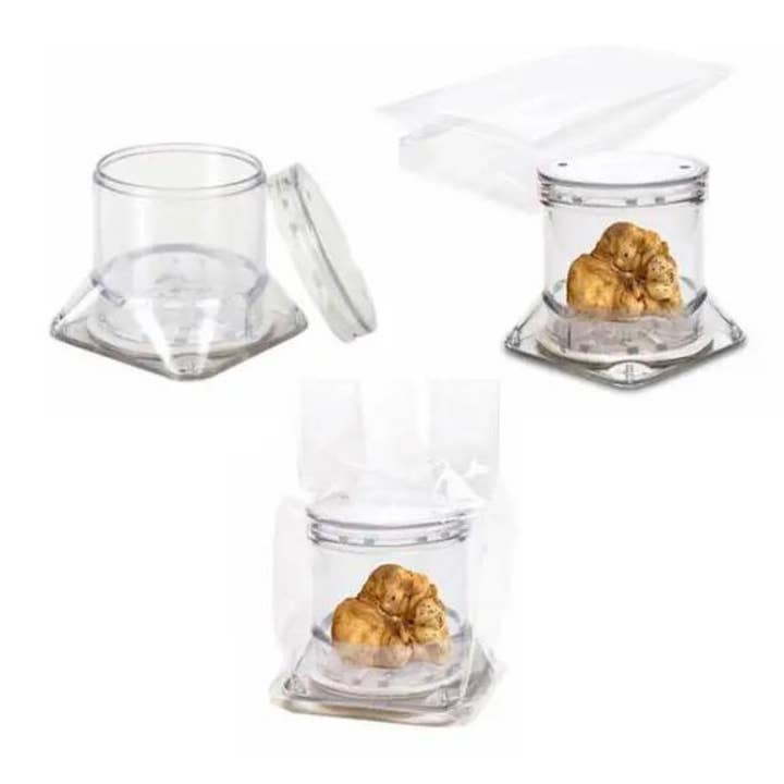 LORD TRUFFLE - Wholesale Food Storage Container - “Tuber Pack” truffle container, long shelf life