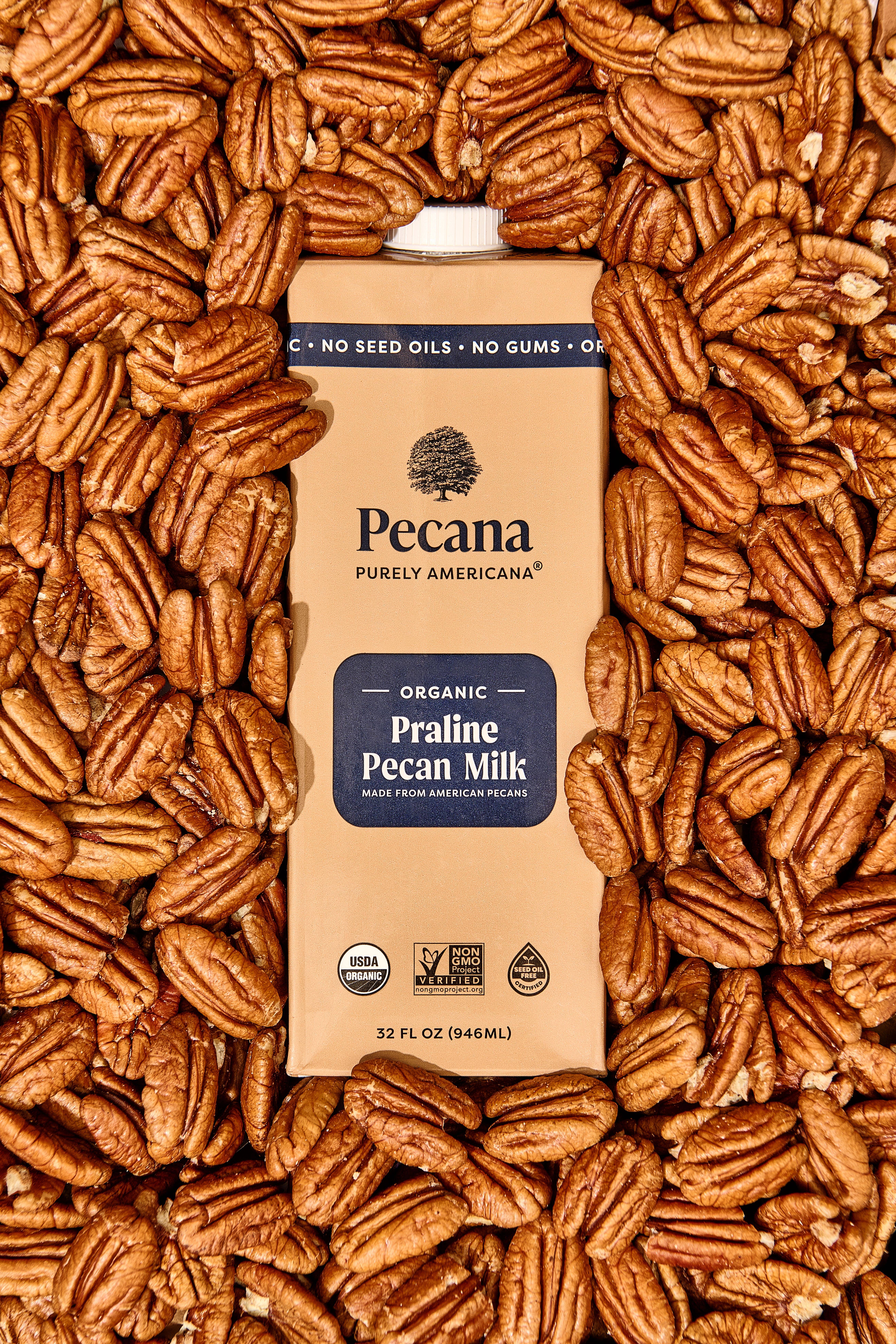 Pecana - Wholesale Non-Dairy Milk - Organic Praline Pecan Milk1
