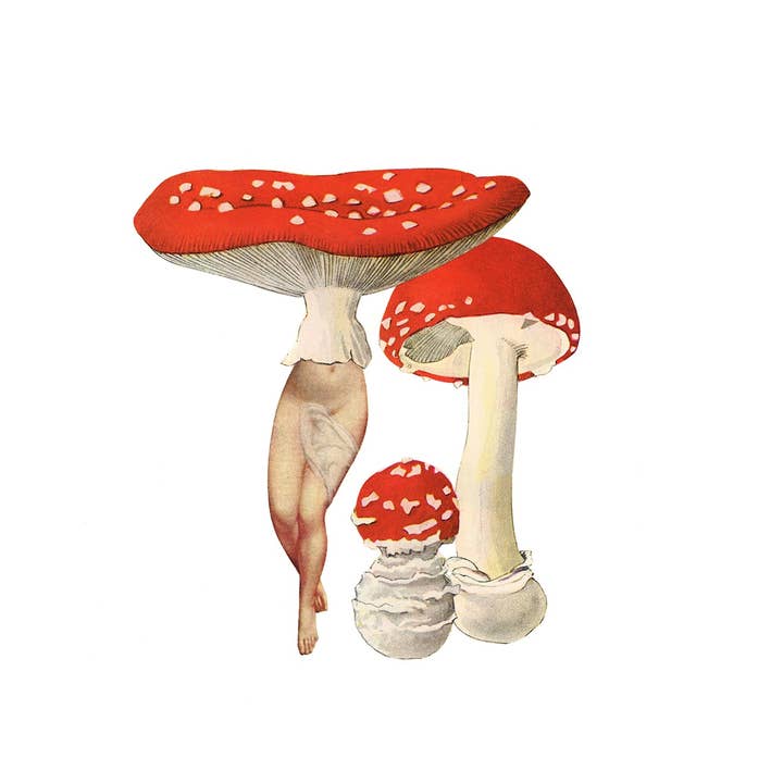 Amanita Patch print for wholesale by Nature Morph