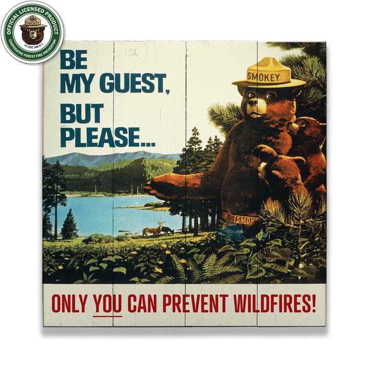 Old Wood Signs - Wholesale Sign - Smokey Bear 1967 Be My Guest: Generic - Wood & Metal Wall Art8