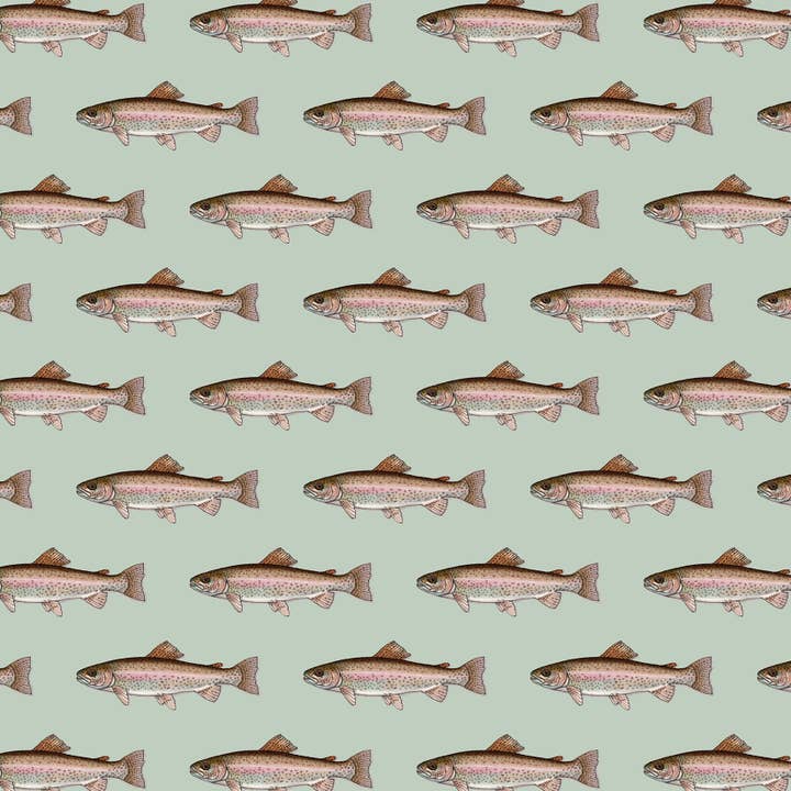 Confezione regalo/Pesce. Trota iridea per la vendita all'ingrosso da parte di Yeesan Loh