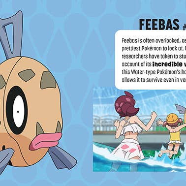 Insight Editions - Wholesale Book - Kids - Pokémon: Trainer's Mini Exploration Guide to Hoenn