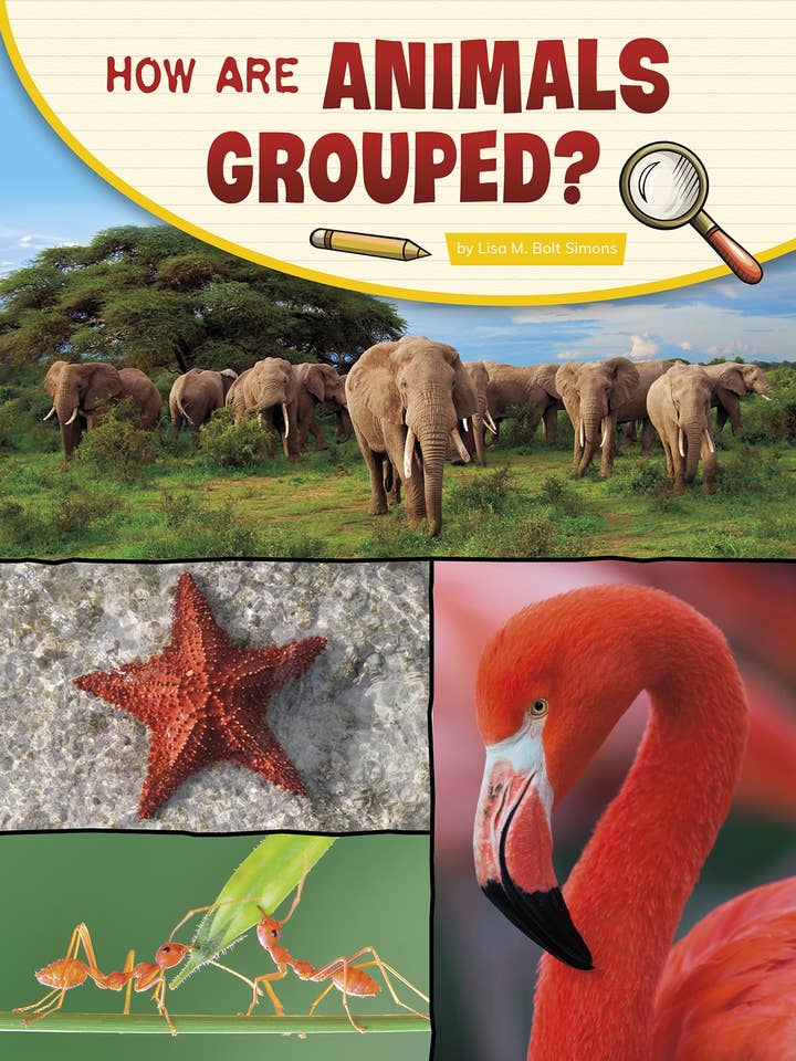 How Are Animals Grouped? for wholesale by Capstone