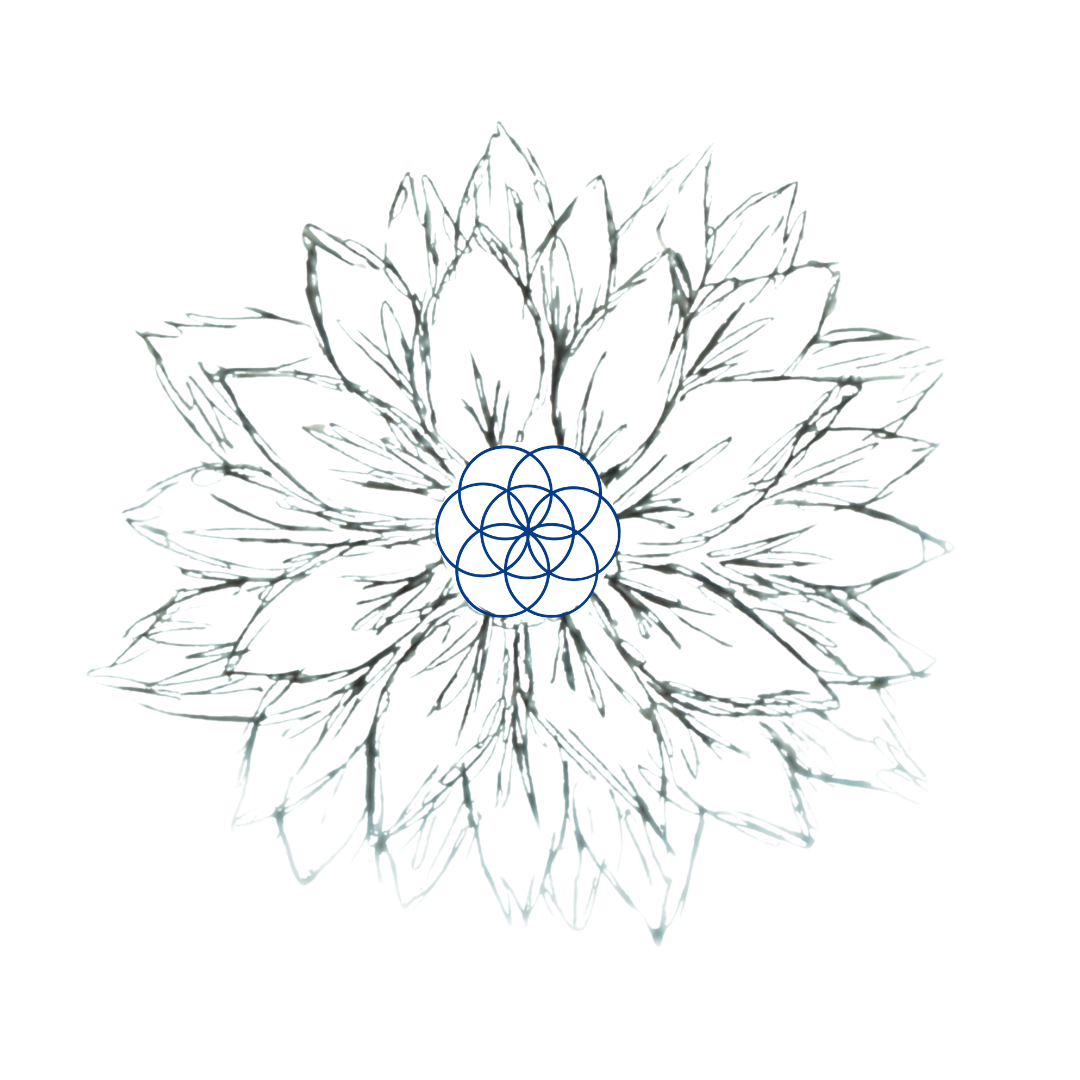 Sol Babe - Wholesale Sunscreen - Sol Flower - Zinc Suncare Serum5