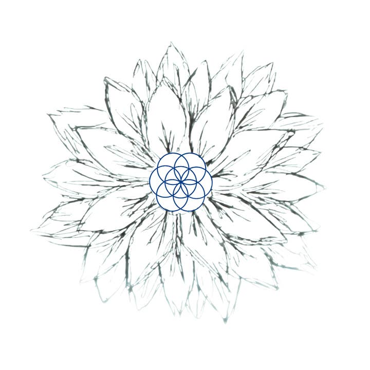 Sol Babe - Wholesale Sunscreen - Sol Flower - Zinc Suncare Serum5