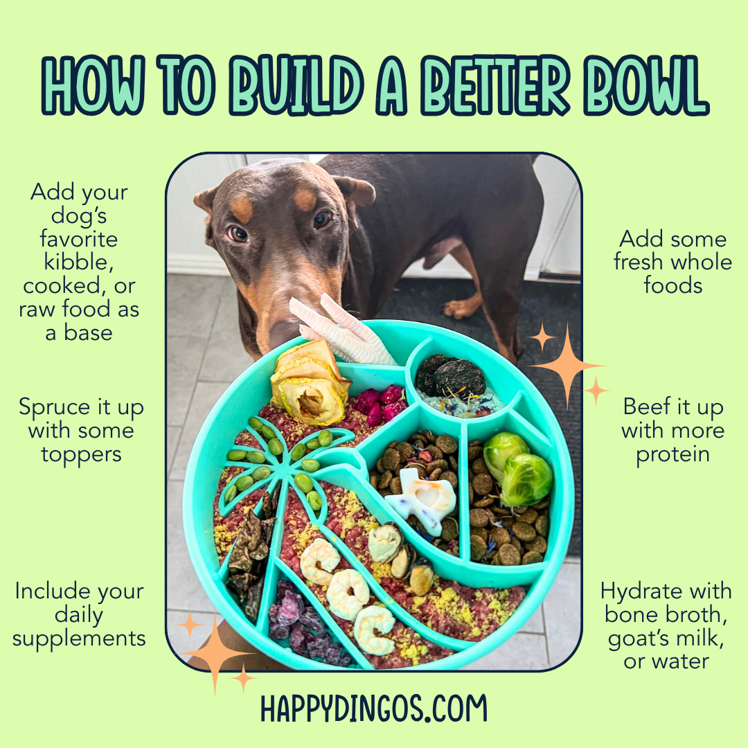 Happy Dingos - Wholesale Pet Bowl - Cat/Dog - Loco Coco Interactive Slow Feeder Bowl 5