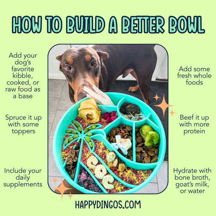 Happy Dingos - Wholesale Pet Bowl - Cat/Dog - Loco Coco Interactive Slow Feeder Bowl 5