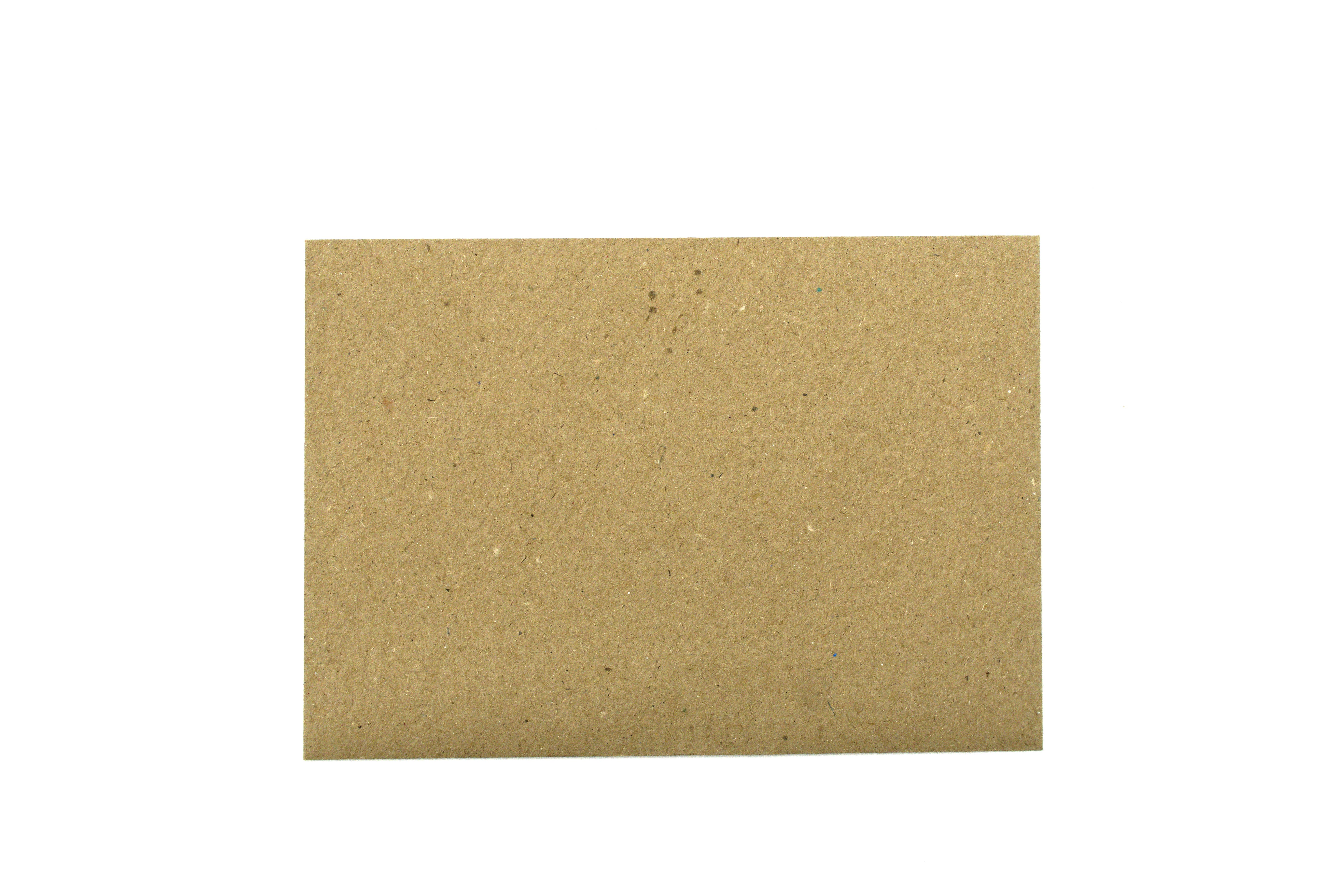 Sunshine Sea Art - Wholesale Birthday card - Ibis Greeting Card | Aussie Bin Chicken Bird Birthday Card8