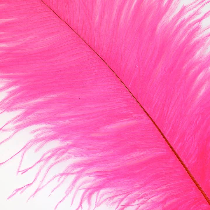 Grandes plumes d'autruche - Drabs de 17"+ - Rose Orient pour la vente par Zucker Feather Products