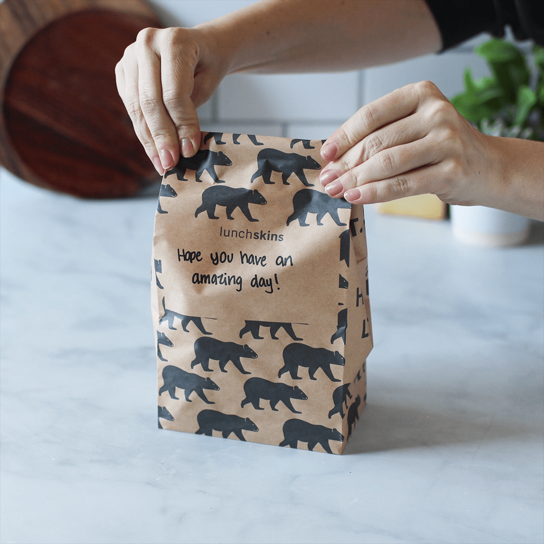 Lunchskins - Wholesale Lunch Bag/Box - Recyclable Paper Lunch Sacks 50ct – Variety Pack11