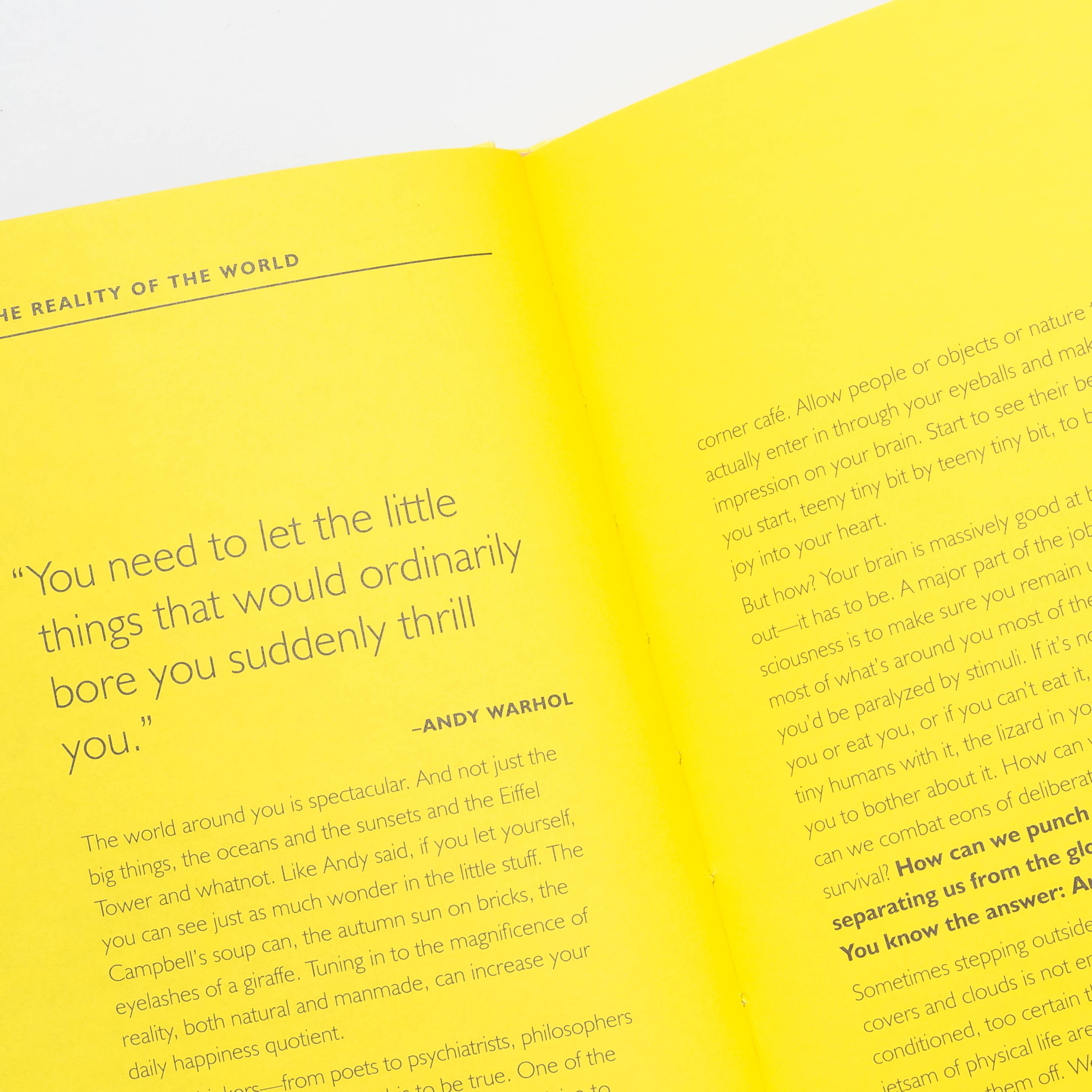 Chronicle Books - Wholesale Arts & Entertainment Book - How Art Can Make You Happy7