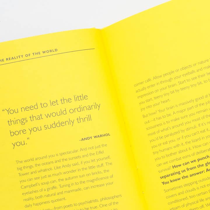 Chronicle Books - Wholesale Arts & Entertainment - How Art Can Make You Happy7