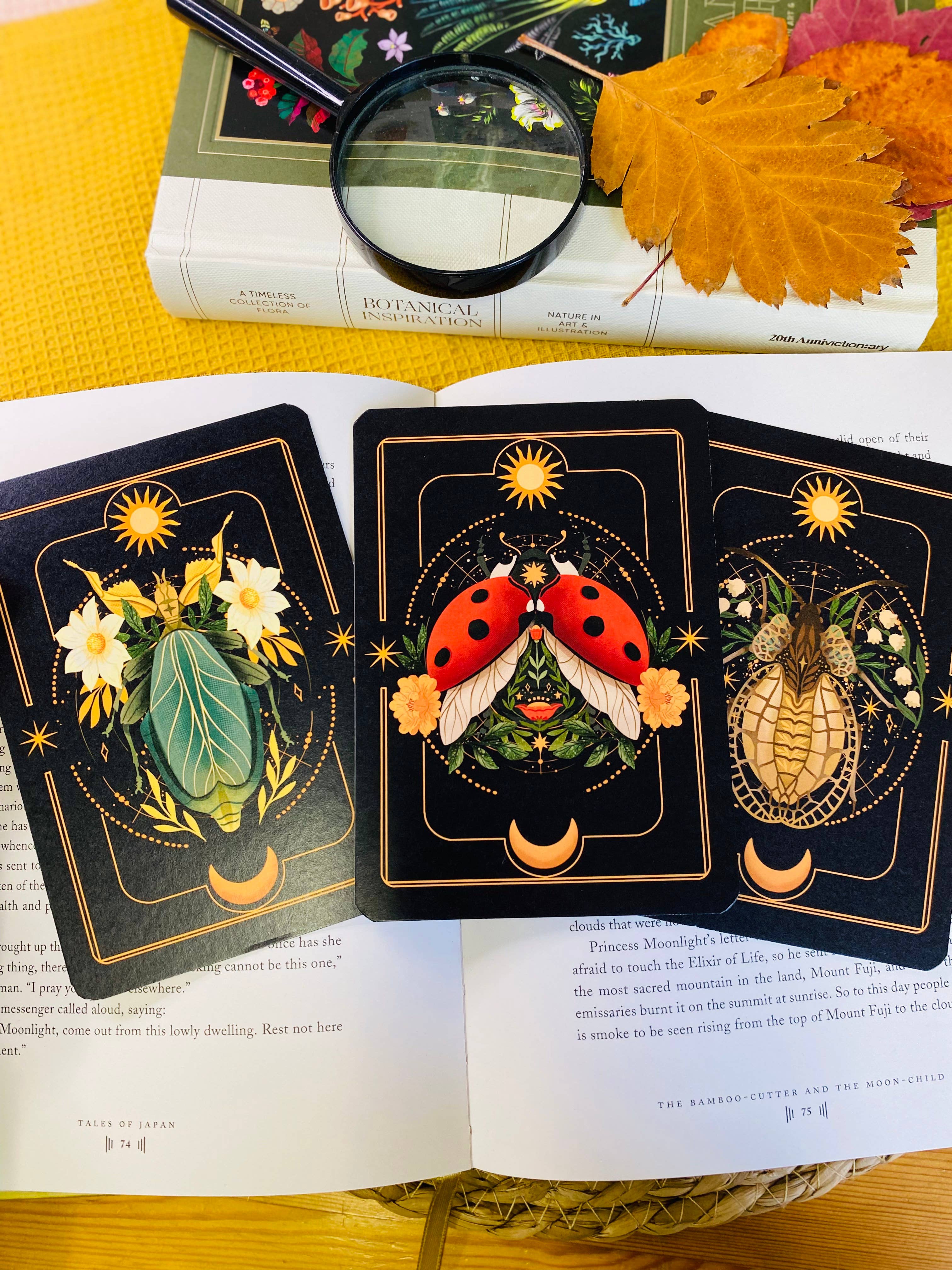 Split Moon Studios - Wholesale Art Print - A Set of Insect Art Prints - A6 Post Card Size - Artprint23