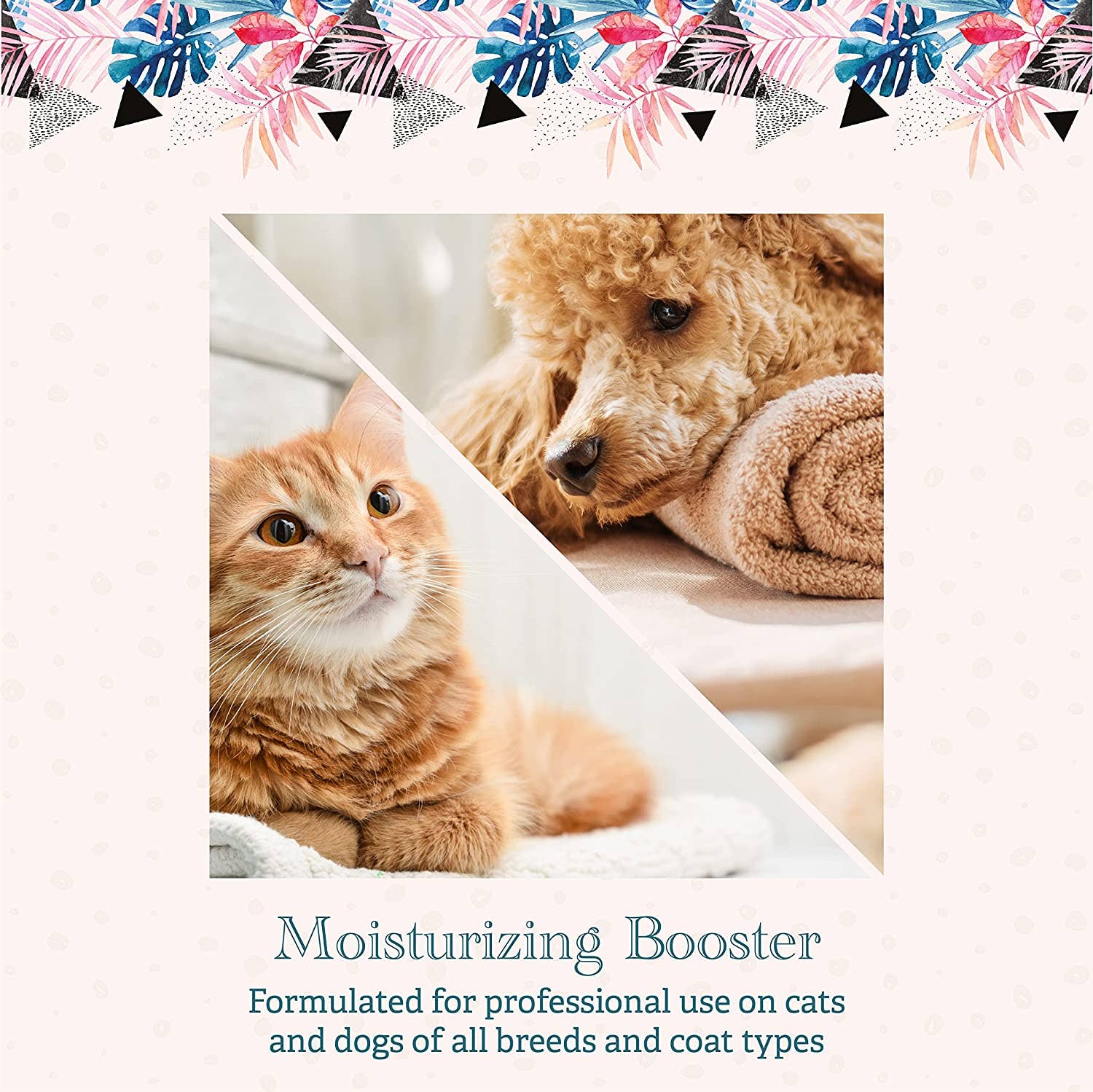 Hydra by Pet Society - Wholesale Pet Grooming Aid - Dog - Hydra Care Booster4