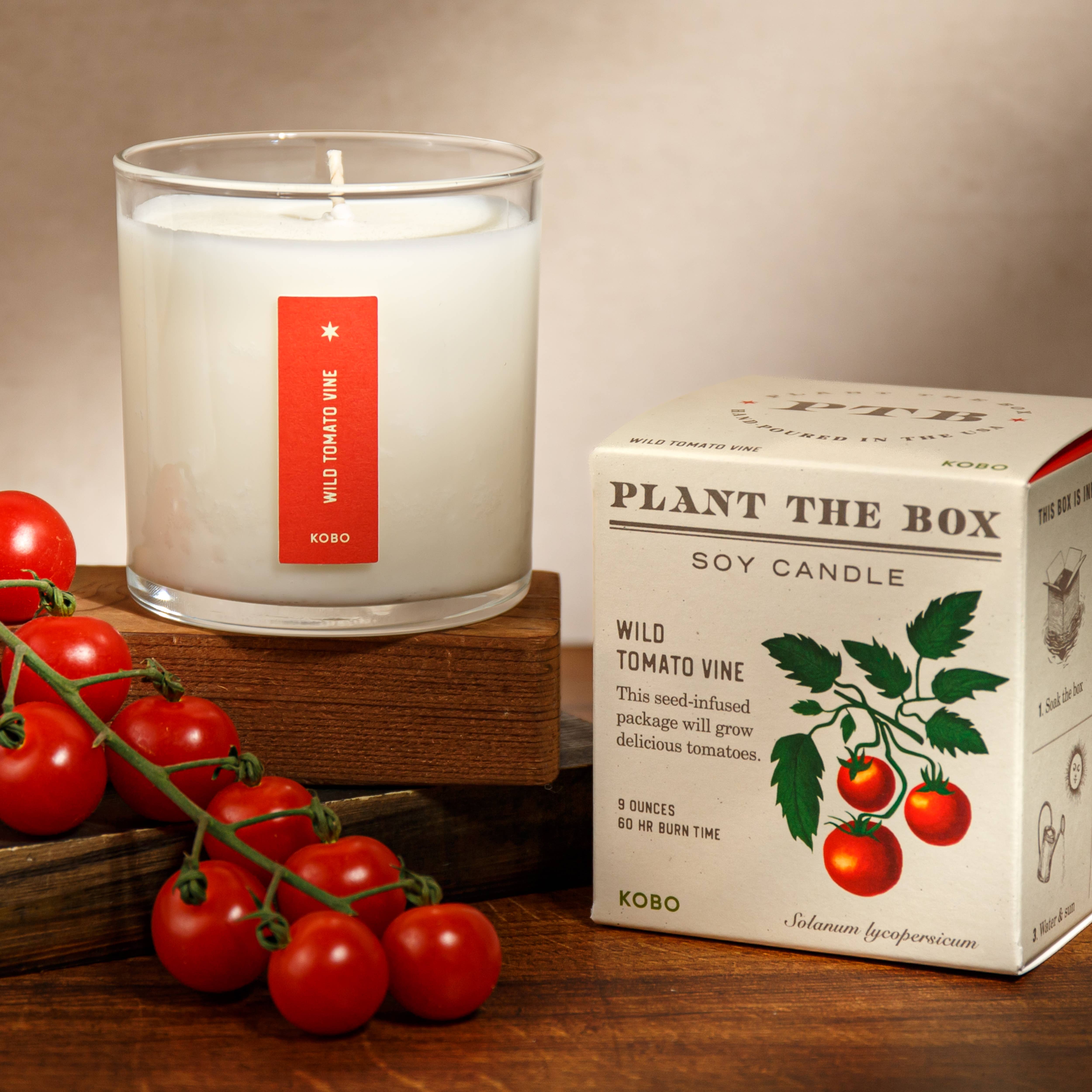 KOBO - Vendita all'ingrosso Candela in vasetto - Candela Wild Tomato Vine - Plant the Box - 9oz1