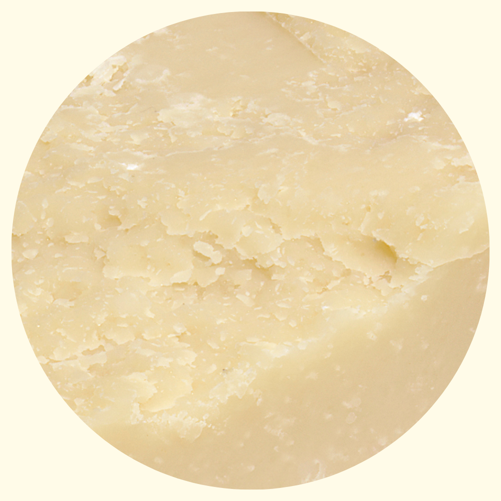 Gourm.it - Wholesale Cheese - Parmigiano Reggiano White Cows 150g. Rich flavor. Modena.1
