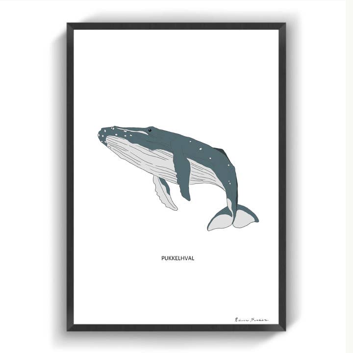 Baleia-jubarte por atacado de IMotive