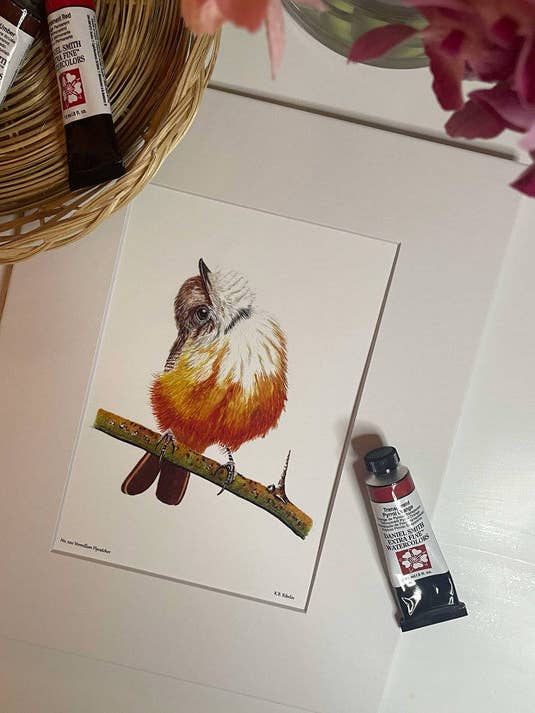 Impresión Giclée de Papamoscas Bermellón para venta al por mayor de Bird Art by KB