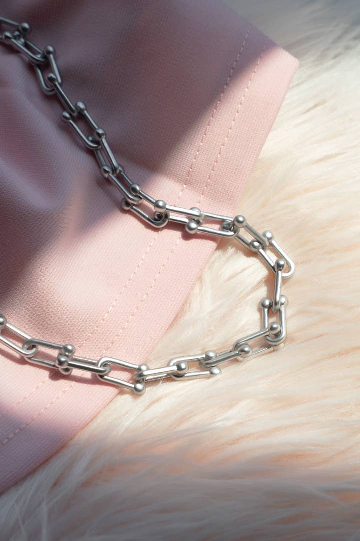 The Sis Kiss - Wholesale Link & Chain Necklace - Graduated Chain Link Necklace in Matte Silver2