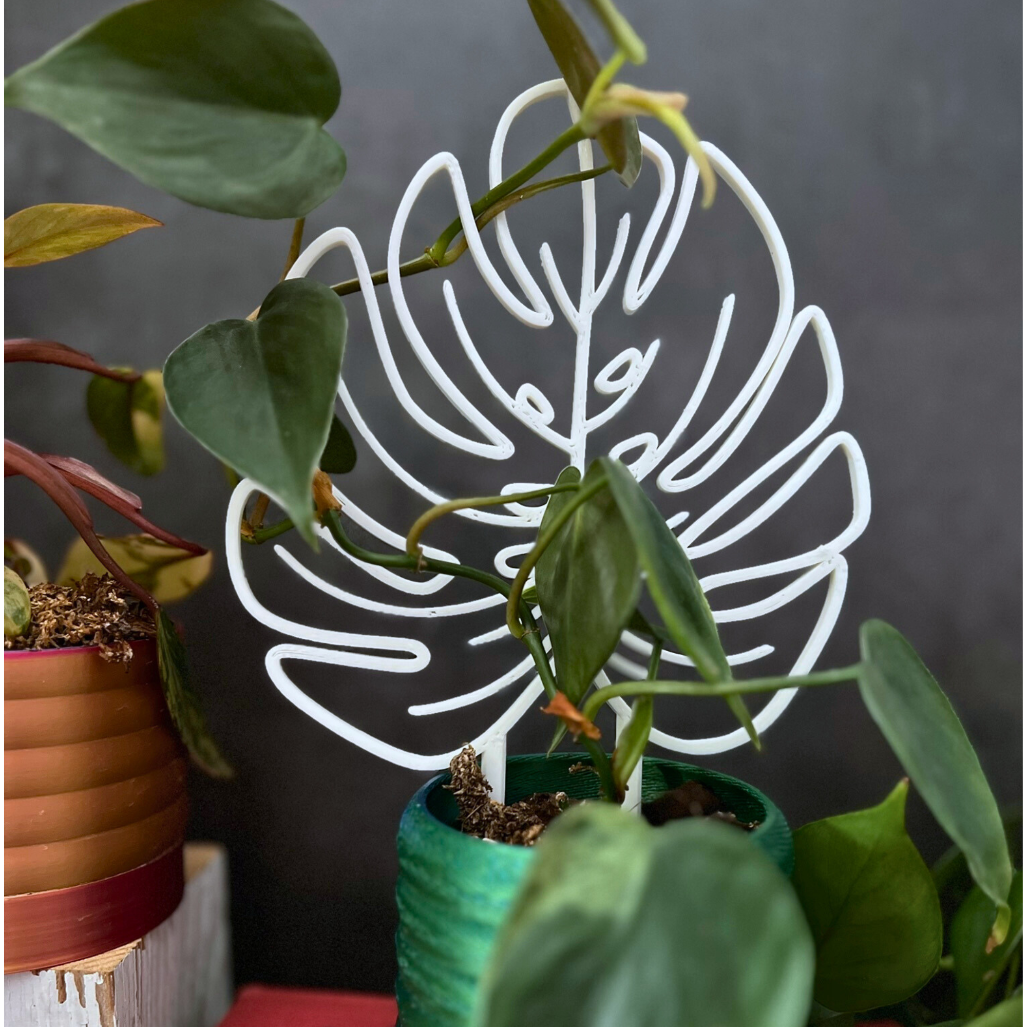 Floraform Creations - Wholesale Trellis - Small Monstera Leaf Houseplant Trellis4