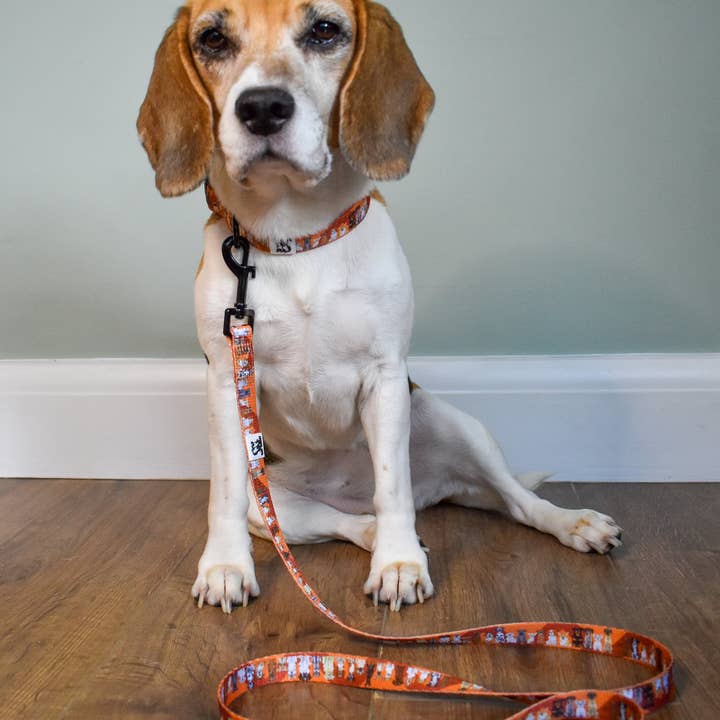 Giddings Gifts - Wholesale Pet collar – Dog - All Dogs' Dog Collar6