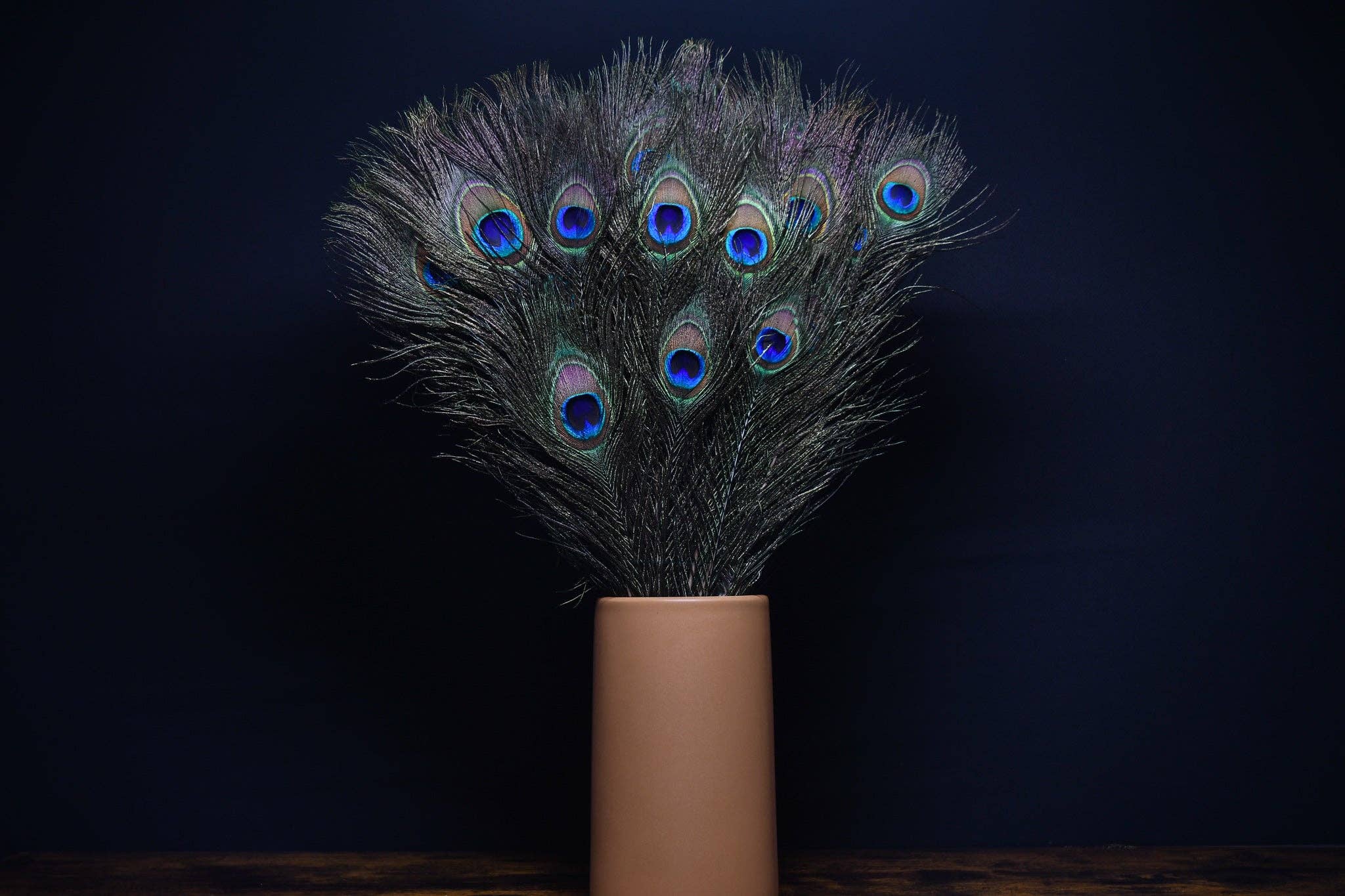 Plumes Naturelles - Wholesale Dried/Pressed Flowers - Peacock feathers 40 centimeters5