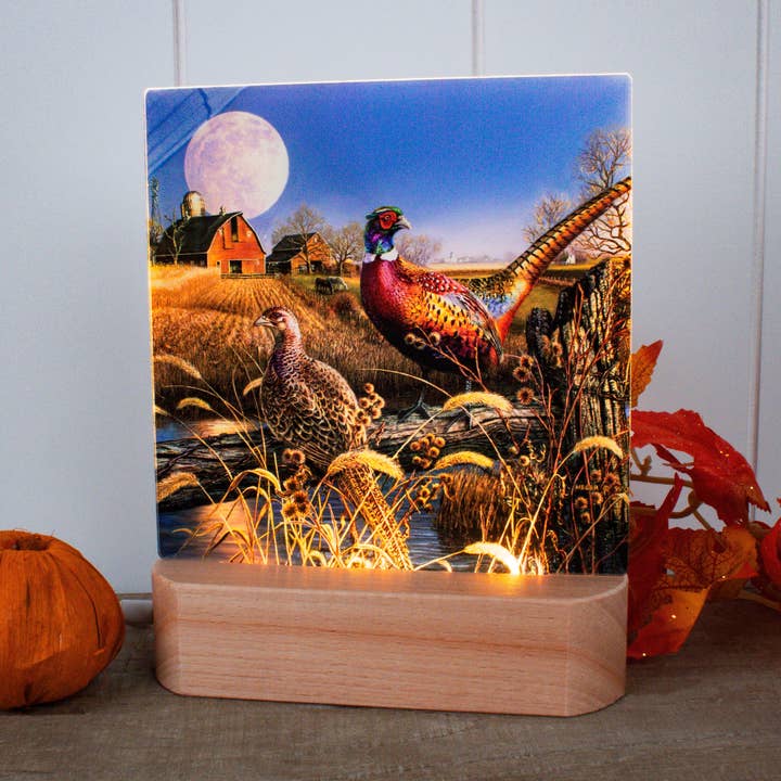 Harvest Moon LED Nightlight for wholesale by Glow Decor