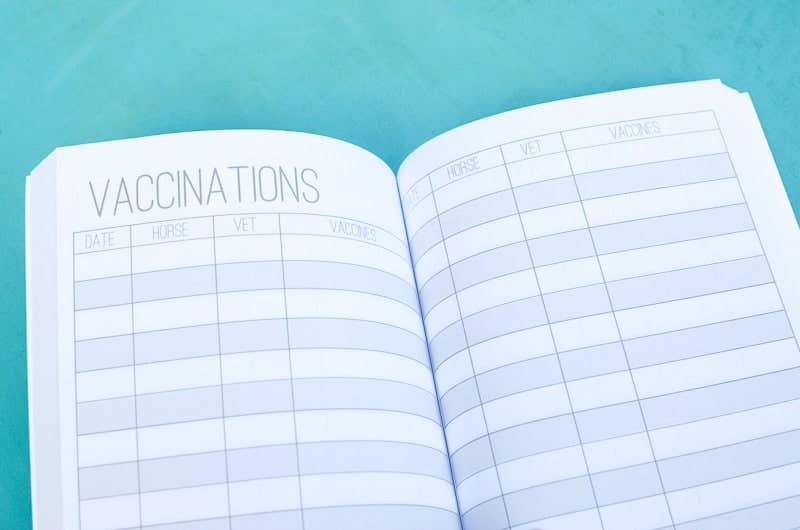 Circus Unicorn Shop - Vendita all'ingrosso Diari/agende - Diario di bordo del Barn Manager11