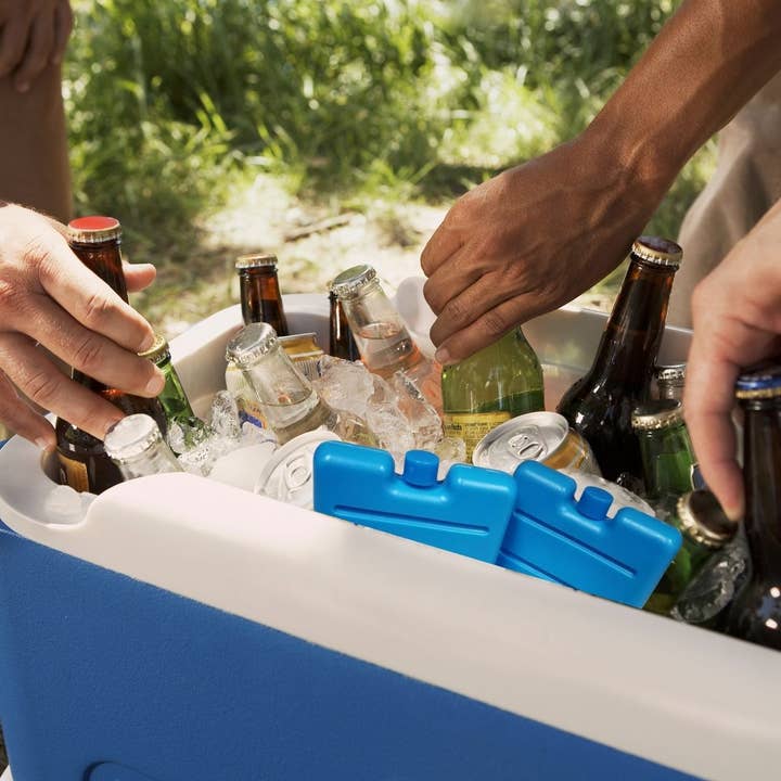 Zenker - Wholesale Ice Pack - Kids & Baby - Set of 2 ice packs for cooler and lunch bag Fackelmann1